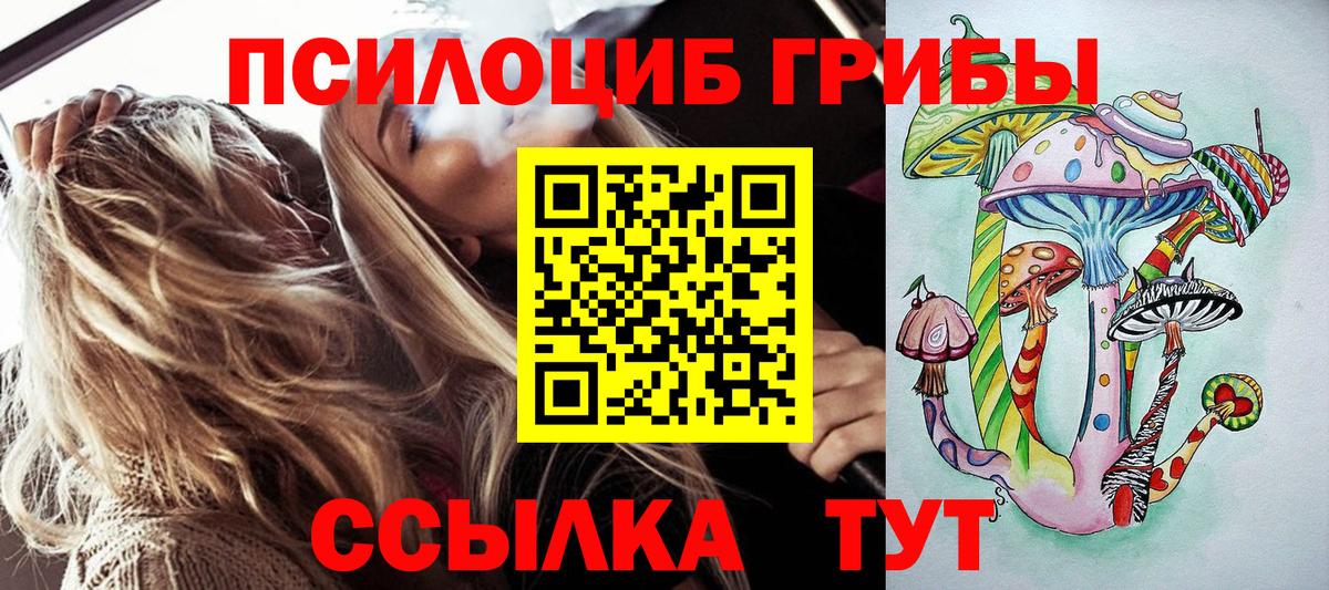 Псилоцибиновые грибы Cubensis Пушкино